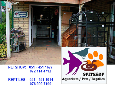 Spitskop Aquarium / Pets / Reptiles